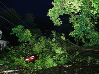 Fallen trees cover cars and homes in a Gaithersburg, Maryland neighborhood on June 5, 2024, after a tornado swept through the region. (