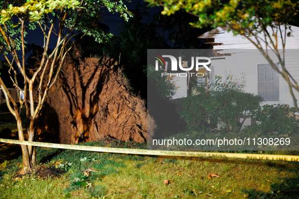 A fallen tree rests inside a home on Dogwood Drive in Gaithersburg, Maryland on June 5, 2024, after a tornado swept through the region. 