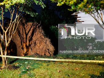 A fallen tree rests inside a home on Dogwood Drive in Gaithersburg, Maryland on June 5, 2024, after a tornado swept through the region. (