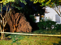 A fallen tree rests inside a home on Dogwood Drive in Gaithersburg, Maryland on June 5, 2024, after a tornado swept through the region. (