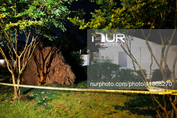 A fallen tree rests inside a home on Dogwood Drive in Gaithersburg, Maryland on June 5, 2024, after a tornado swept through the region. 