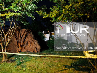 A fallen tree rests inside a home on Dogwood Drive in Gaithersburg, Maryland on June 5, 2024, after a tornado swept through the region. (