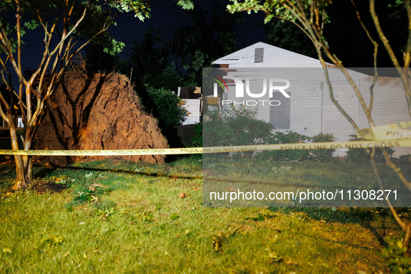 A fallen tree rests inside a home on Dogwood Drive in Gaithersburg, Maryland on June 5, 2024, after a tornado swept through the region. 