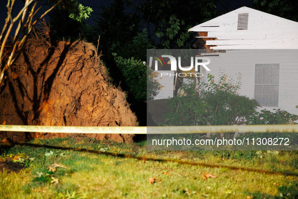 A fallen tree rests inside a home on Dogwood Drive in Gaithersburg, Maryland on June 5, 2024, after a tornado swept through the region. 