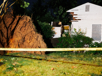 A fallen tree rests inside a home on Dogwood Drive in Gaithersburg, Maryland on June 5, 2024, after a tornado swept through the region. (