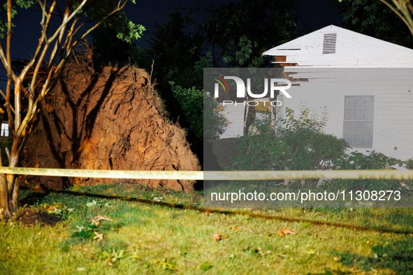 A fallen tree rests inside a home on Dogwood Drive in Gaithersburg, Maryland on June 5, 2024, after a tornado swept through the region. 