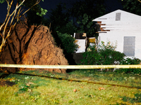 A fallen tree rests inside a home on Dogwood Drive in Gaithersburg, Maryland on June 5, 2024, after a tornado swept through the region. (