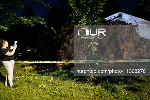 A fallen tree rests in a home on Dogwood Drive in Gaithersburg, Maryland on June 5, 2024, after a tornado swept through the region. 