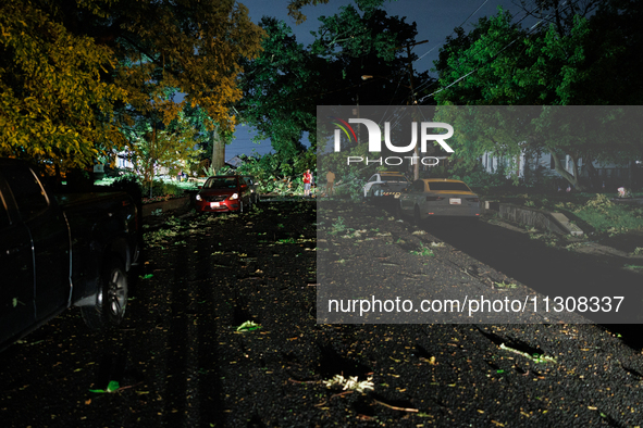 Fallen trees and debris are scattered through a Gaithersburg, Maryland neighborhood after a tornado swept through the area on June 5, 2024. 