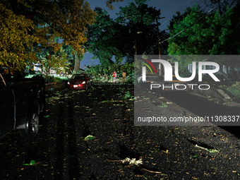 Fallen trees and debris are scattered through a Gaithersburg, Maryland neighborhood after a tornado swept through the area on June 5, 2024....