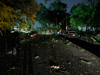 Fallen trees and debris are scattered through a Gaithersburg, Maryland neighborhood after a tornado swept through the area on June 5, 2024....