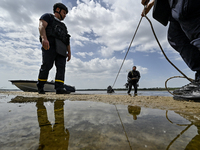 Bomb disposal experts are exploring the Dnipro River bank during the training of State Emergency Service personnel to improve their skills i...