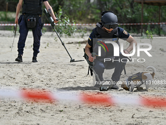 Mykhailo Iliev, head of the EOD unit of underwater and humanitarian demining of the Main Department of the State Emergency Service in Cherni...