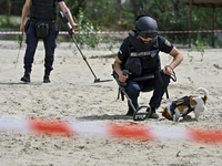 Mykhailo Iliev, head of the EOD unit of underwater and humanitarian demining of the Main Department of the State Emergency Service in Cherni...