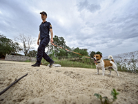 Mykhailo Iliev, head of the EOD unit of underwater and humanitarian demining of the Main Department of the State Emergency Service in Cherni...