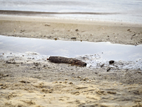 An explosive device is being seen in the sand during the training of State Emergency Service personnel to improve their skills in searching...