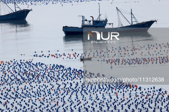 Fishermen are driving their fishing boats to carry out marine farming operations at the ocean ranch in Lianjiang County, Fuzhou, China, on J...