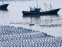 Fishermen are driving their fishing boats to carry out marine farming operations at the ocean ranch in Lianjiang County, Fuzhou, China, on J...