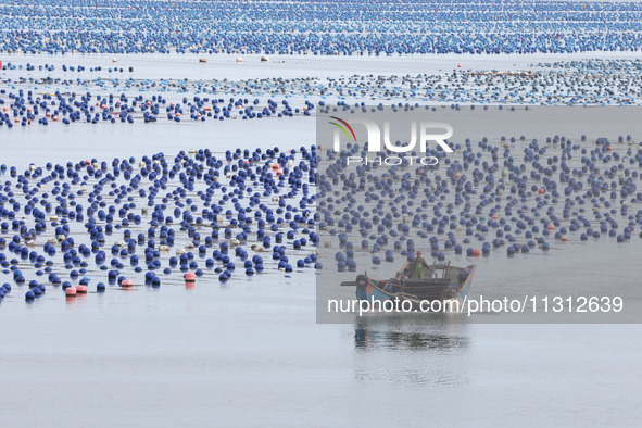 Fishermen are driving their fishing boats to carry out marine farming operations at the ocean ranch in Lianjiang County, Fuzhou, China, on J...