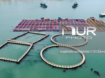 Fishermen are driving their fishing boats to carry out marine farming operations at the ocean ranch in Lianjiang County, Fuzhou, China, on J...