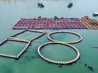 Fishermen are driving their fishing boats to carry out marine farming operations at the ocean ranch in Lianjiang County, Fuzhou, China, on J...