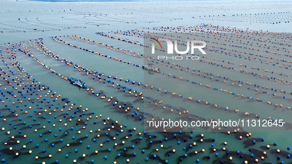 Fishermen are driving their fishing boats to carry out marine farming operations at the ocean ranch in Lianjiang County, Fuzhou, China, on J...