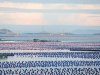 Fishermen are driving their fishing boats to carry out marine farming operations at the ocean ranch in Lianjiang County, Fuzhou, China, on J...