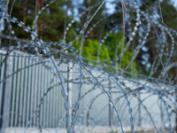 A general view of the area with barbed wire at a sign by the border wall in a forest in Podlasie, Poland, on June 6, 2024. (