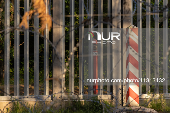 A general view of the area with barbed wire and a border post is showing by the border wall in a forest in Podlasie, Poland, on June 6, 2024...