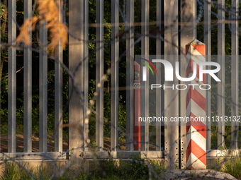 A general view of the area with barbed wire and a border post is showing by the border wall in a forest in Podlasie, Poland, on June 6, 2024...