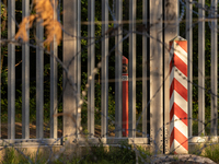 A general view of the area with barbed wire and a border post is showing by the border wall in a forest in Podlasie, Poland, on June 6, 2024...