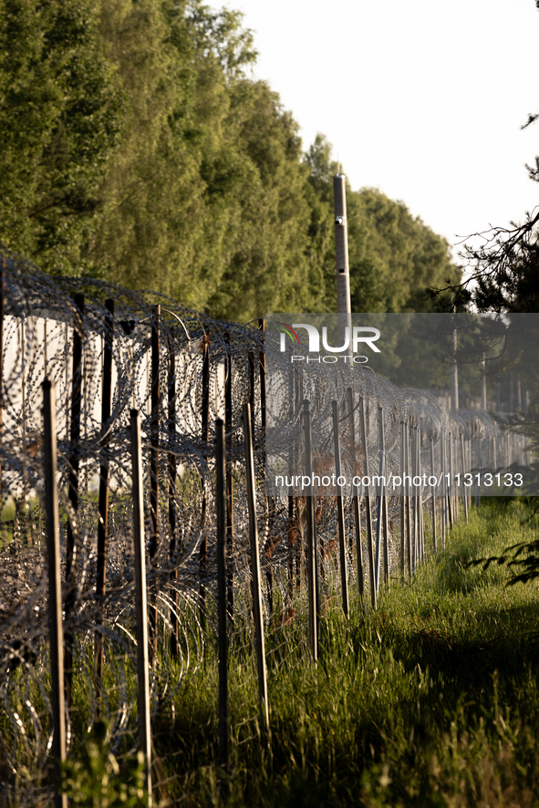 A general view of the area with barbed wire by the border wall in a forest in Podlasie, Poland, on June 6, 2024. 