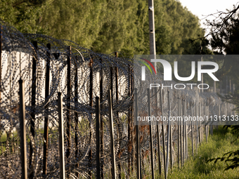 A general view of the area with barbed wire by the border wall in a forest in Podlasie, Poland, on June 6, 2024. (