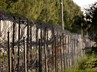 A general view of the area with barbed wire by the border wall in a forest in Podlasie, Poland, on June 6, 2024. (