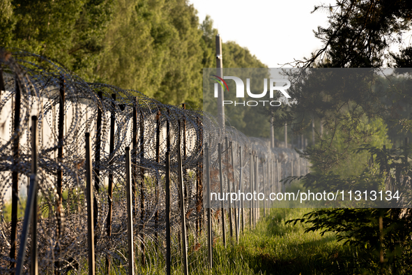 A general view of the area with barbed wire by the border wall in a forest in Podlasie, Poland, on June 6, 2024. 