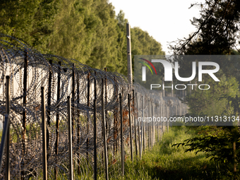 A general view of the area with barbed wire by the border wall in a forest in Podlasie, Poland, on June 6, 2024. (