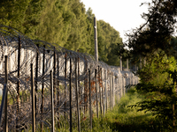 A general view of the area with barbed wire by the border wall in a forest in Podlasie, Poland, on June 6, 2024. (