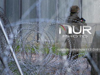 A soldier is keeping watch and observing the area by the border wall in a forest in Podlasie, Poland, on June 6, 2024. (