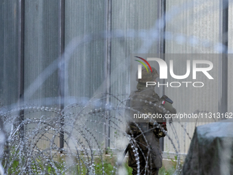 A soldier is keeping watch and observing the area by the border wall in a forest in Podlasie, Poland, on June 6, 2024. (