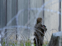 A soldier is keeping watch and observing the area by the border wall in a forest in Podlasie, Poland, on June 6, 2024. (