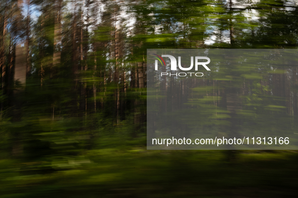 A long exposure shot is capturing a forest in Podlasie, Poland, on June 6, 2024. 