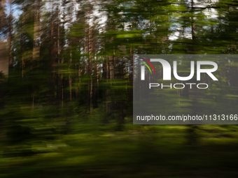 A long exposure shot is capturing a forest in Podlasie, Poland, on June 6, 2024. (