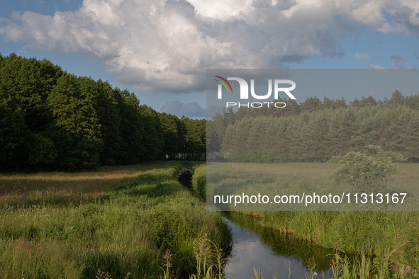 A long exposure shot is capturing a forest in Podlasie, Poland, on June 6, 2024. 