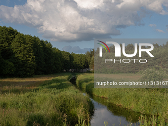 A long exposure shot is capturing a forest in Podlasie, Poland, on June 6, 2024. (