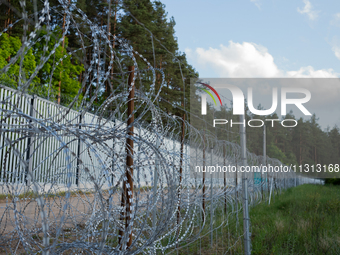 A general view of the area with barbed wire at a sign by the border wall in a forest in Podlasie, Poland, on June 6, 2024. (