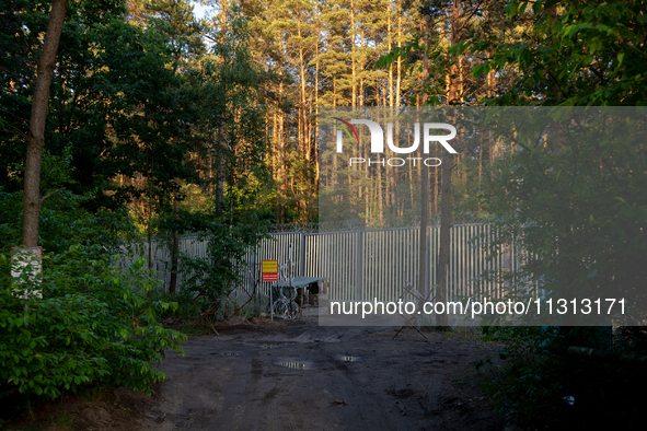 A post is standing in the area by the border wall in a forest in Podlasie, Poland, on June 6, 2024. 