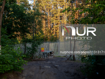 A post is standing in the area by the border wall in a forest in Podlasie, Poland, on June 6, 2024. (