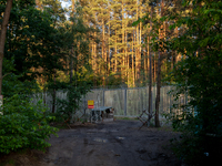 A post is standing in the area by the border wall in a forest in Podlasie, Poland, on June 6, 2024. (