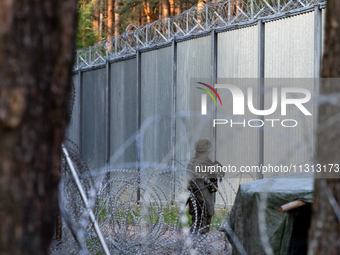 A soldier is keeping watch and observing the area by the border wall in a forest in Podlasie, Poland, on June 6, 2024. (