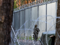 A soldier is keeping watch and observing the area by the border wall in a forest in Podlasie, Poland, on June 6, 2024. (